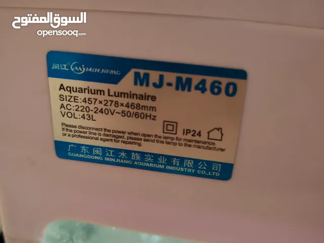 حوض سمك اجنبي