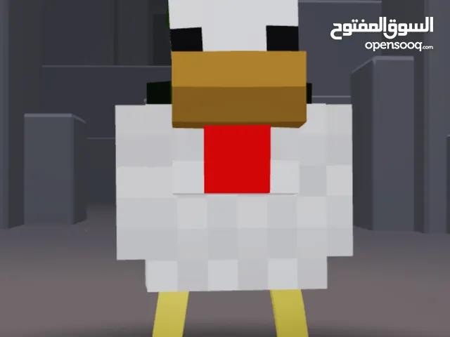 roblox account