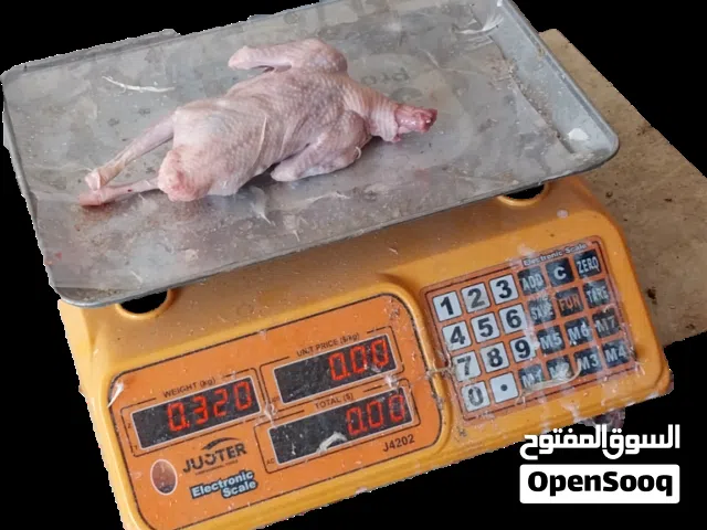 زغاليل فرنسي