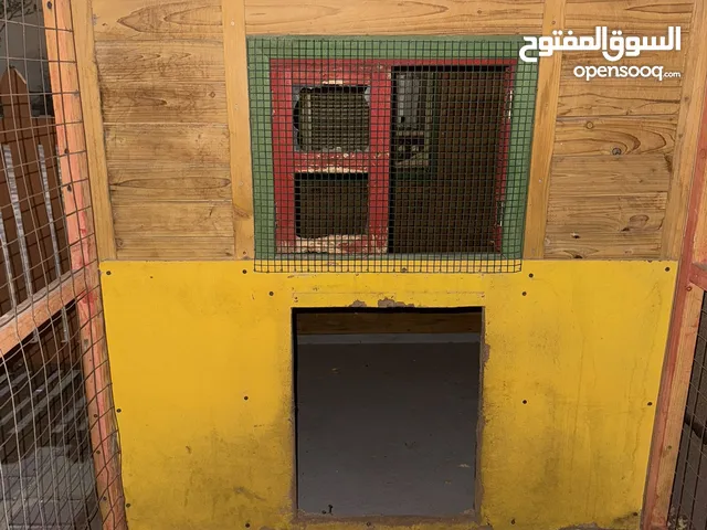 Dog house with air conditioning