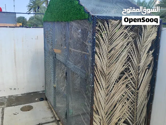 محميه مال بلابل امانه الله الشغل درجه اولى متعوب عليها المو شراي لا يدخل خاص