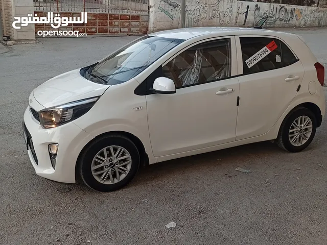 بيكانتو 2022 سعر حرق على الكاش إمكانية البيع نص كاش ونص شكات مع فرق في السعر