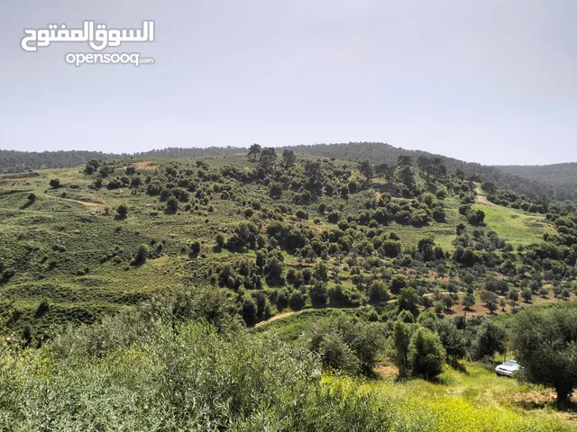Mixed Use Land for Sale in Jerash Al-Kittah