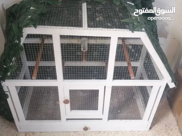 مطير وجوز روز