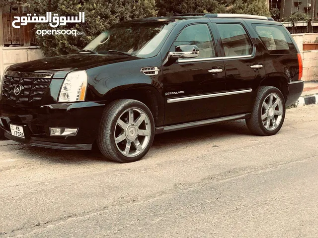 Cadillac Escalade Standard in Amman