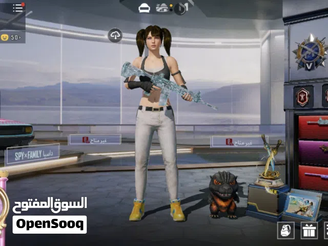Pubg Accounts and Characters for Sale in Dubai