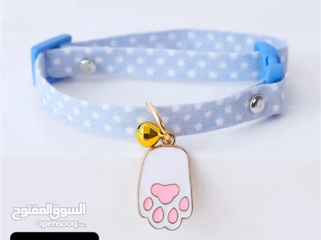 مستلزمات قطط بسعر التكلفه