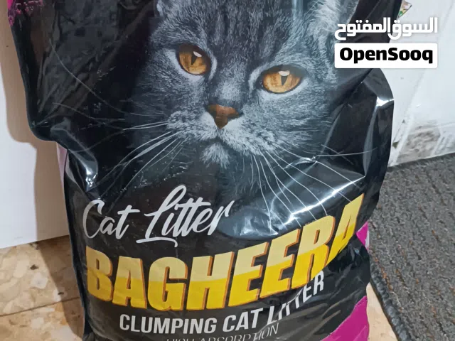 مستلزمات قطة شاملة من الألف للياء جديدة للبيع بأقل من نصف السعر، الرجاء قراءة وصف الإعلان