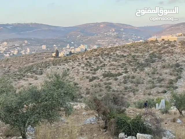 ارض منطقة أ ذات أبعاد واطلاله مميزة 1101 متر كوشان مفروز