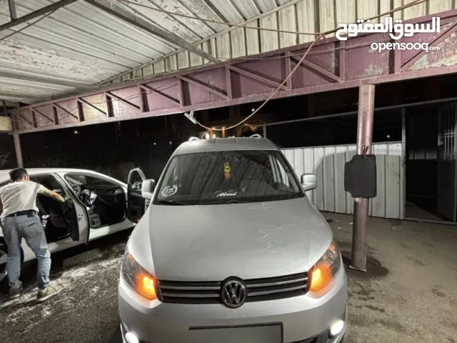 كادي شصي قصير 2013 للبيع