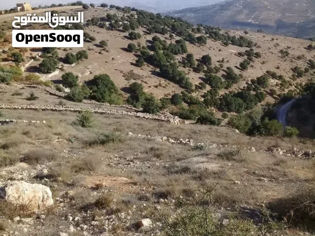 Farm Land for Sale in Jerash Soof