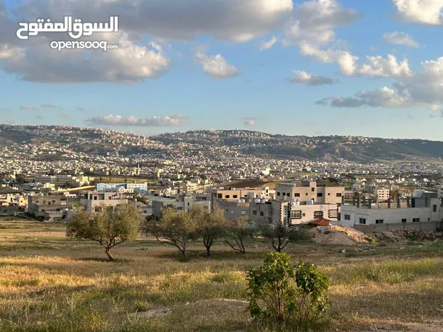 Residential Land for Sale in Amman Umm A-Dananir