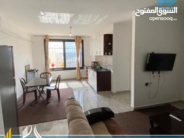 استديوهات مفروشه للايجار بتونيا