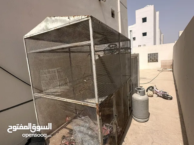 قفص طيور ونظيف