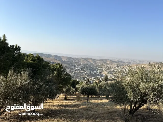 Residential Land for Sale in Zarqa Um Rummanah