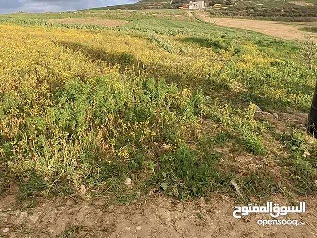 Mixed Use Land for Sale in Jenin Fahma