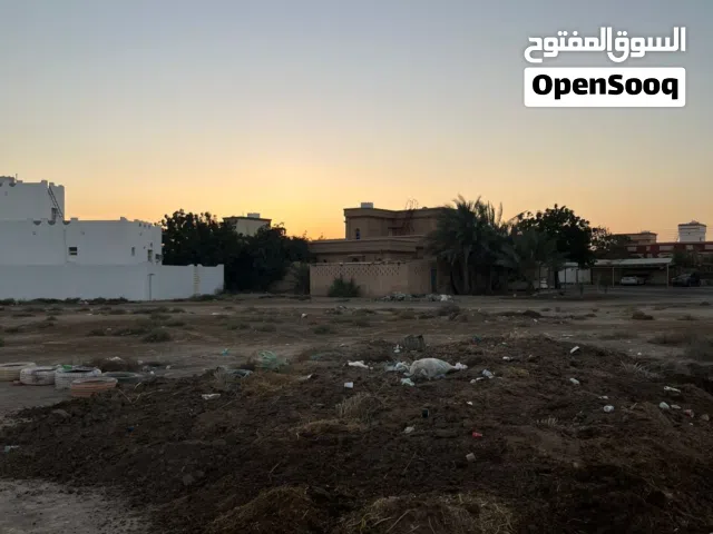 سماد بقر للبيع