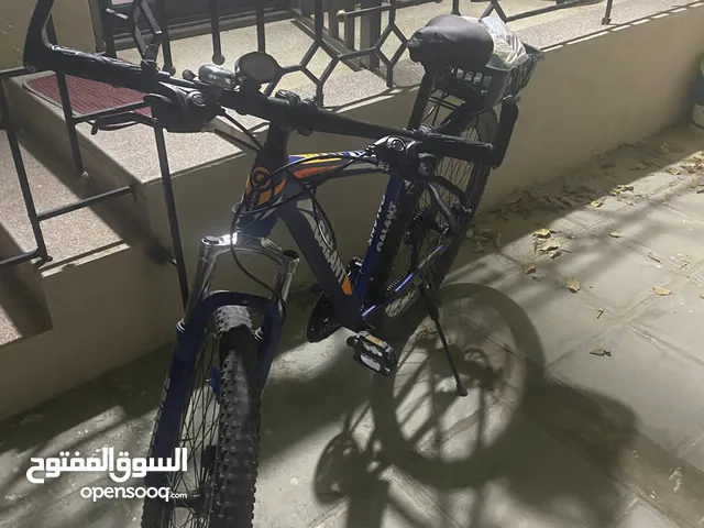 Galant bike 29