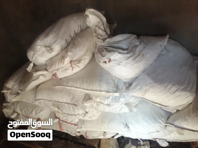 فرصة لأصحاب المواشي  للبيع نفيعه إنتاج هذا العام من مزارع سمائل
