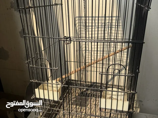 Bird cage medium size used for Mini Macaw