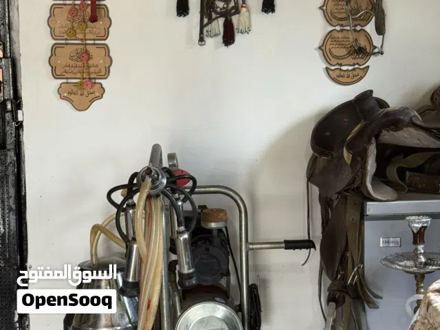 حلابة بقر بحالة ممتازة