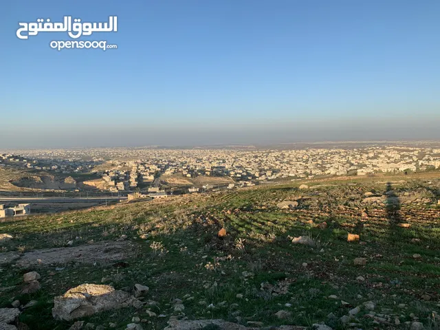 Residential Land for Sale in Al Huson, Irbid Stunning Panoramic Views