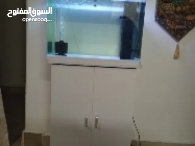 حوض سمك زينة مع اغراضه