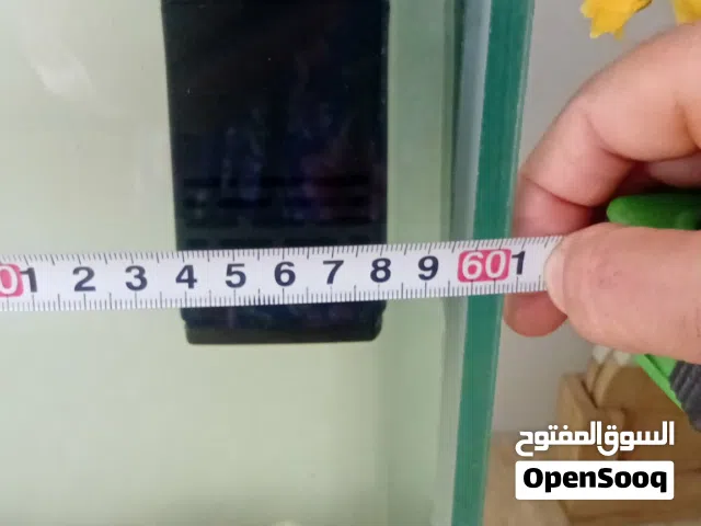 حوض سمك