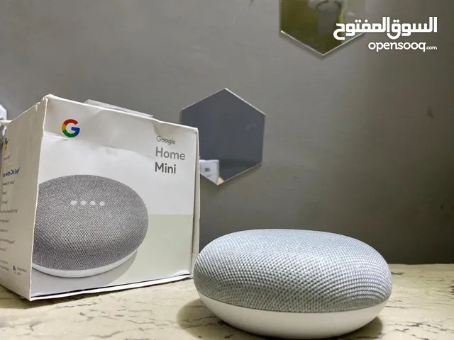 Google Home Mini Assistant