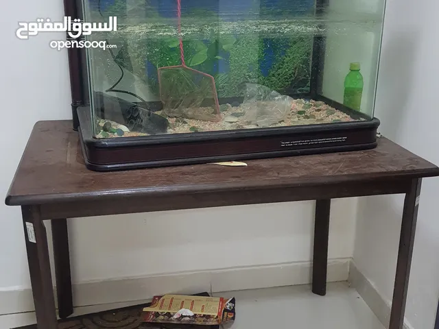 fish tank and table