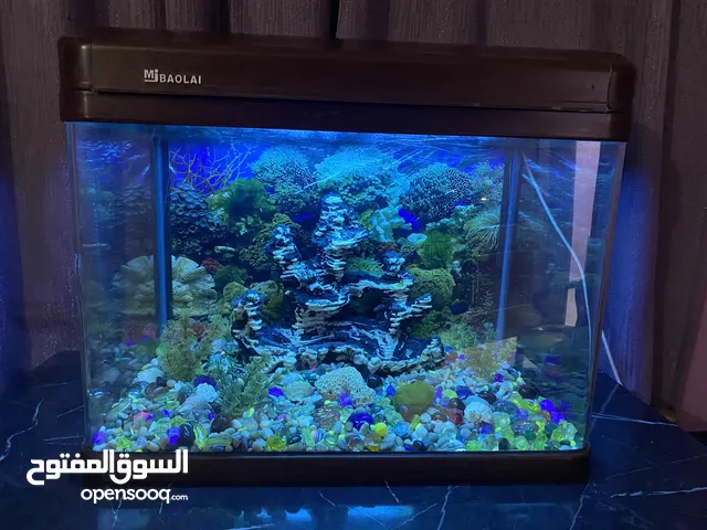 حوض سمك للبيع مع مستلزماته بحاله ممتازه مع فلتر با 35 د.ك