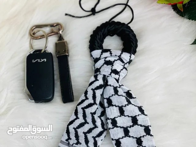 اكسسوارات سيارة