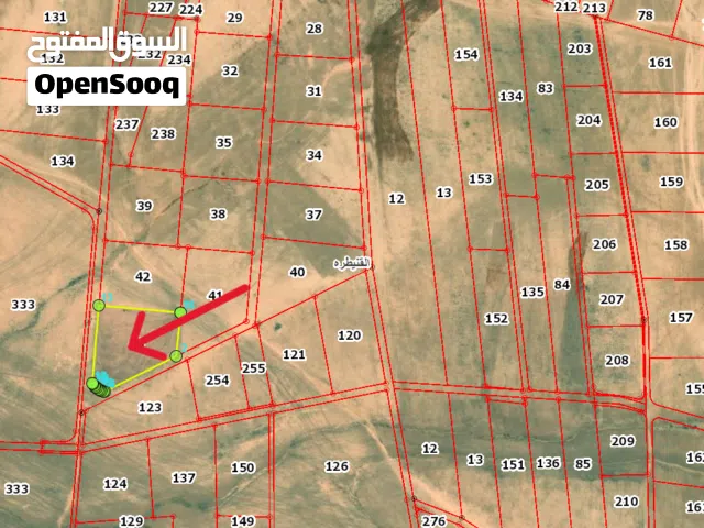 Residential Land for Sale in Amman Al-Quneitirah