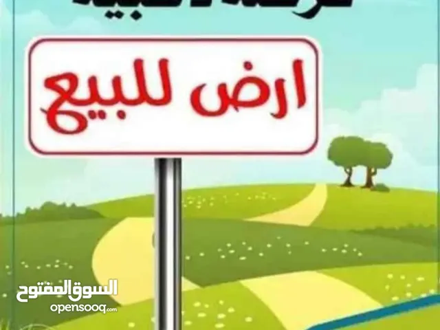 هكتار وربع مثمر ومروي للبيع في غنيمه