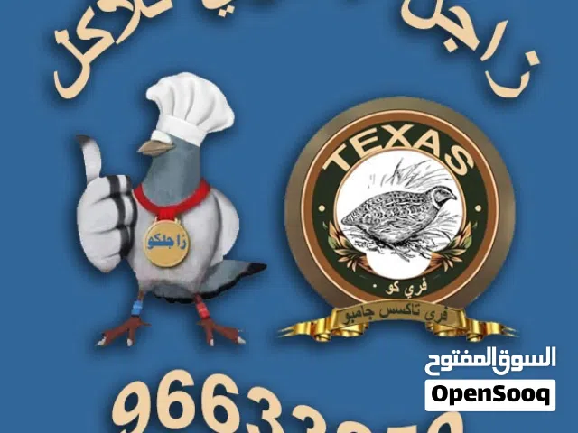 للبيع فري تاكسس وبيض وزاجل زغاليل