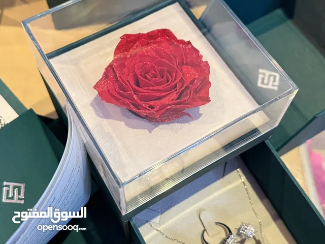 طقم فايندرا الاصلي