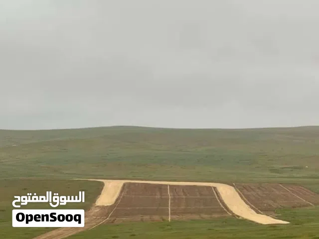 Mixed Use Land for Sale in Amman Zumlat al Ulya