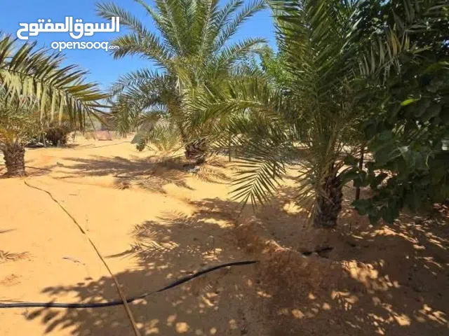 Residential Land for Sale in Tripoli Tareeq Al-Mashtal