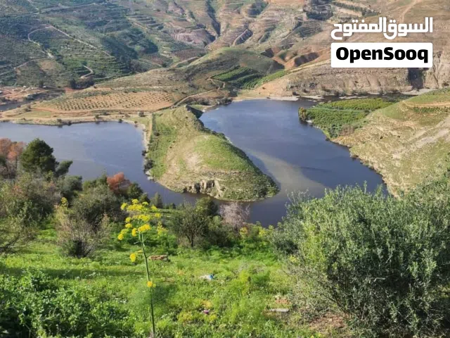 Mixed Use Land for Sale in Jerash Al-Mastaba