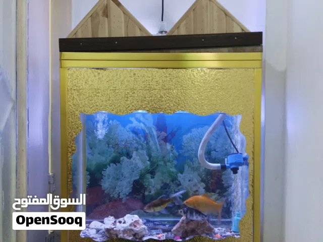 حوض سمك مع أغراض
