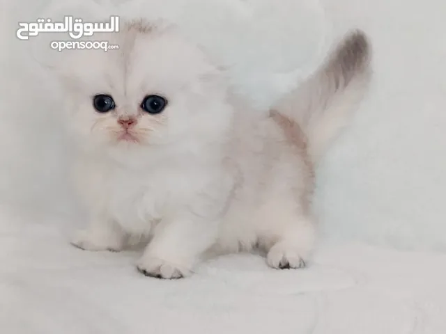ذكور واناث. للحجز
