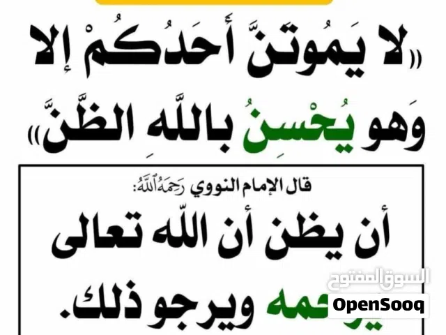 بط مشوش يعني فوق رأسه شوشه كبيره مثل دجاج البانكس أو كان تبي تبحث في قوقل اكتب البط المتوج