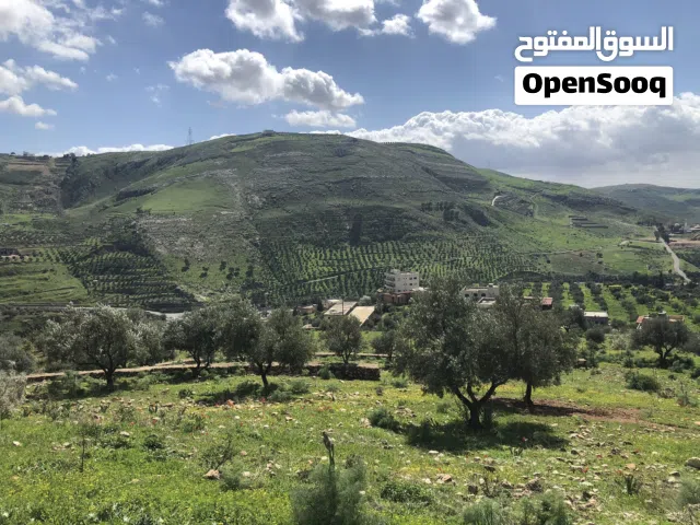 Farm Land for Sale in Salt Al Balqa'