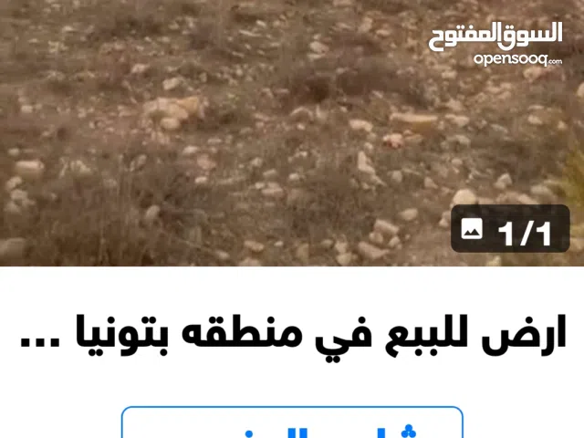 Residential Land for Sale in Ramallah and Al-Bireh Beitunia