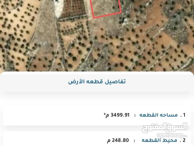 أرض مميزة للبيع