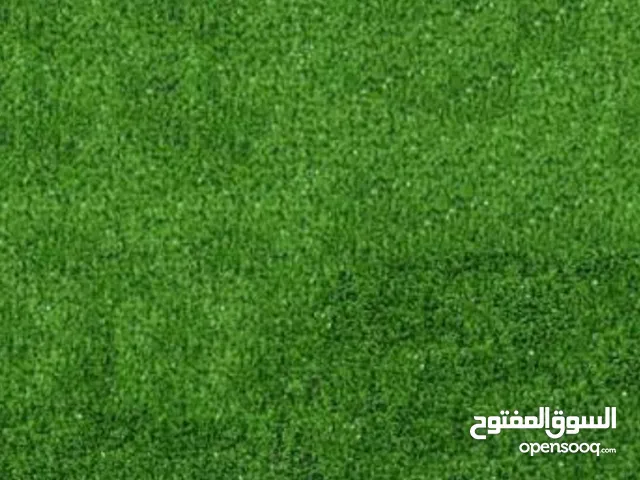 جراس كاربت( عشب صناعي لتغطية المسطحات) عشب صناعي لتجميل الحديقة والمدرسة والملاعب والمسطحات الخضرا
