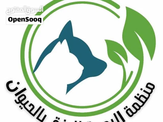 إعلان رسمي – دعوة للانضمام إلى الفريق الرقمي (منظمة الرحمة)