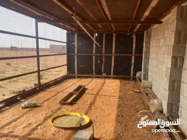 1 Bedroom Farms for Sale in Abu Arish Other