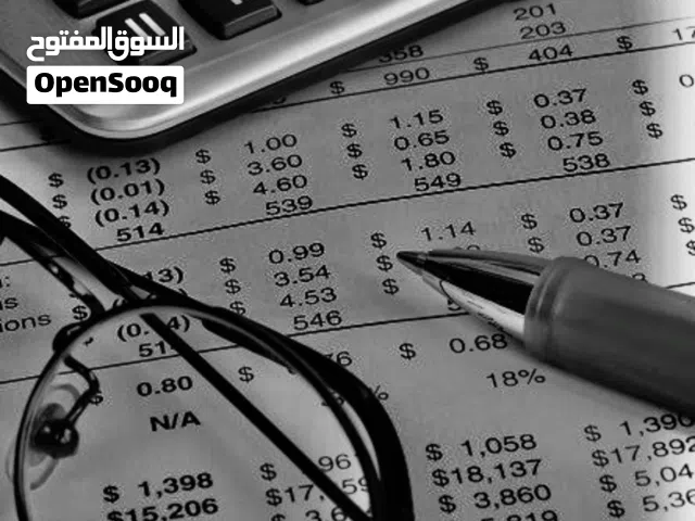 محاسب محترف يقدم خدمات محاسبية