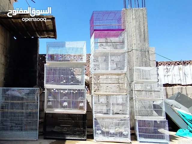 اقفاص عصافير عدطه سعر 5 الف ريال مقاس كبير 60